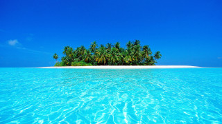 Island palm trees ocean sky - a clear blue sky above free wallpaper