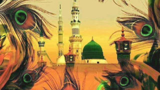 Woman peacock feathers mosque green - a painting of a woman free wallpaper