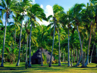 Hut palm forest blue sky - antoine ignace melling free wallpaper
