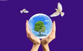 Person holding globe tree birds - a globe free wallpaper
