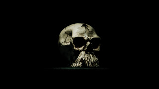Skull beard black background light - a shadow free wallpaper