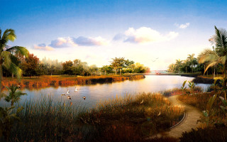 Lake palm trees pond path - the shore free wallpaper