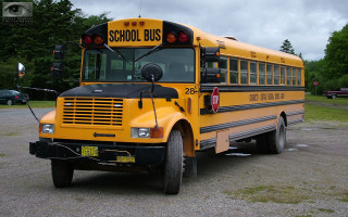 School bus parking lot trees - front view free wallpaper