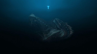 Large squid swimming ocean night - realism free wallpaper for desktop