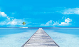 Pier palm tree ocean blue - end free wallpaper for desktop