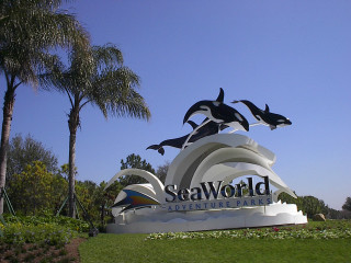 Seaworld marine park dolphins sign - beeple free wallpaper