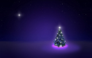 Christmas tree lit night sky - star above free wallpaper