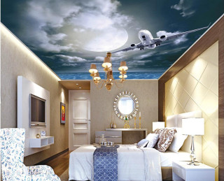 Bedroom mural plane ocean blue - open ceiling free wallpaper