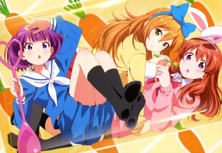 Anime girls bed drink cat - a drink free wallpaper