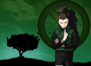 Man green sign tree background - a green sign free wallpaper