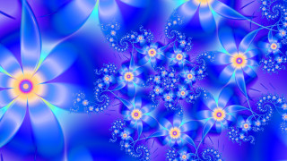 Blue yellow flower pattern blue - flower pattern free wallpaper