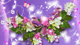 Purple background flowers birds butterfly - cindy wright free wallpaper for desktop
