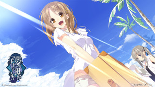 Girl white dress surfboard palm 2 - summer free wallpaper