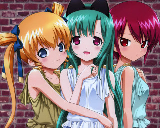 Anime girls long hair cat 4 - a brick wall free wallpaper for desktop