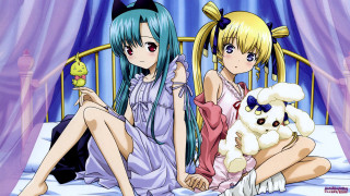 Anime girls bed stuffed animals - their lap free wallpaper