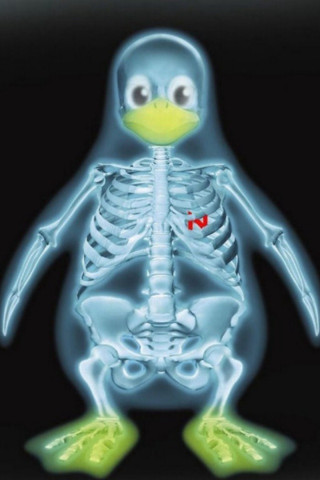 Skeleton penguin yellow beak black - a yellow beak free wallpaper for mobile