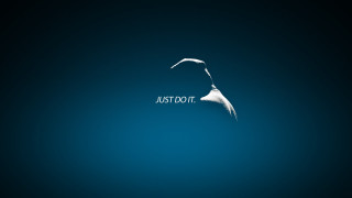 Bird flying justus above another - free minimalism wallpaper
