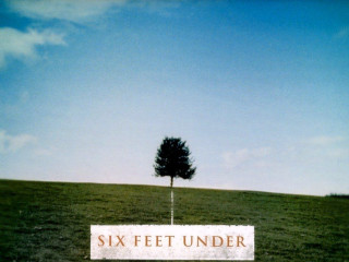 Six feet under tree field - under free wallpaper