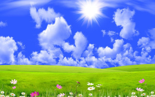 Field flowers blue sky clouds - a sun in the background free wallpaper for desktop