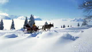 Sleigh ride horses snow mountains - two horse free wallpaper