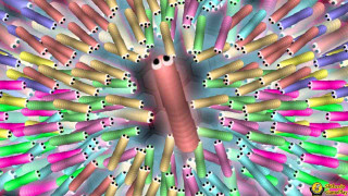 Colorful circle objects hole middle - a circle free wallpaper