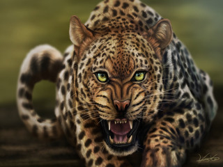 Leopard green eyes snarling face - brom free wallpaper