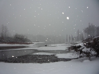 Snowy day pond trees background - a pond and trees free wallpaper