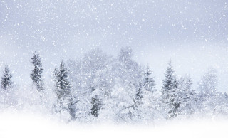 Snowy scene trees sky snow - a snowy scene free wallpaper