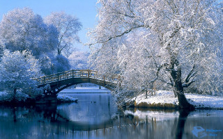 Bridge river snow trees small 4 - the middle free wallpaper