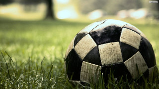Soccer ball grass park trees - a soccer ball free wallpaper