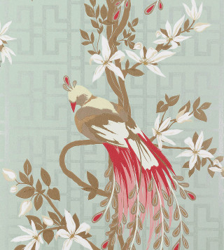 Bird red tail branch white - a red tail free wallpaper for tablet