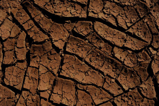 Brown surface cracks close up - alberto burri free wallpaper