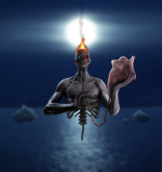 Burning head fish light dark - a fish free wallpaper for tablet