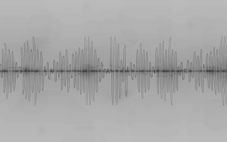 Black white sound wave lake - a reflection of the water free wallpaper