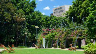 Georgetown university summer green field - academic free wallpaper