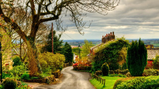 Road tree house cloudy sky - a few bush and trees free wallpaper