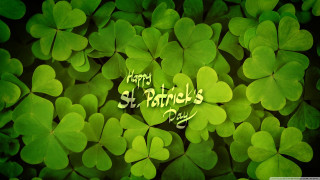 Green shamrocks happy st patricks - charles mcauley free wallpaper
