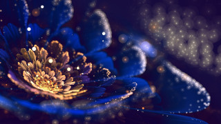Blue flower bubbles holography 3D - bubble of water free wallpaper