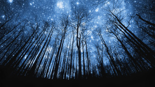 Night sky filled with stars - a night sky free wallpaper