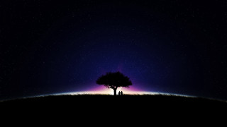 Lone tree field night purple - a lone tree in a field free wallpaper