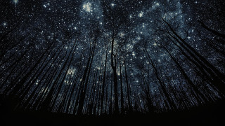 Night sky stars forest mountains - a night sky free wallpaper