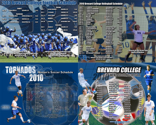 Soccer team coaches blue uniforms - poster free wallpaper