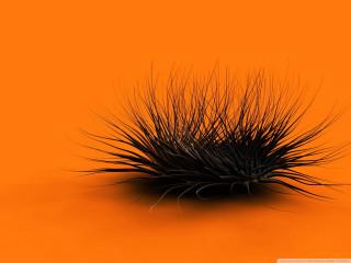 Black object long hair orange - an orange background free wallpaper