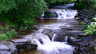 Small waterfall forest bench stream - rock and trees free wallpaper