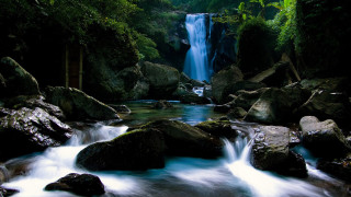 Waterfall forest rocks flowing water - rock and water free wallpaper for desktop