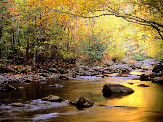 Hudson river school autumn leaves - fall free wallpaper