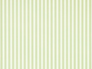 White wall green stripe vase - bridget riley free wallpaper for desktop