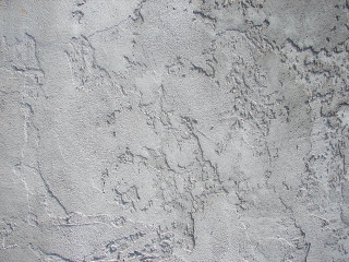 Cement wall paint bird close - paint free wallpaper