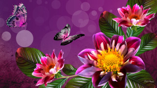 Purple flowers butterflies bubbles circles - flower and butterflies free wallpaper