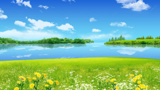 Beautiful green field flowers lake 2 - field free wallpaper